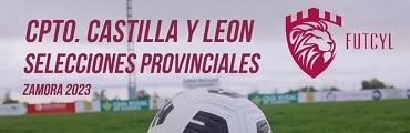 Cpto Castilla y León de Fútbol Aficionado de Selecciones Provinciales